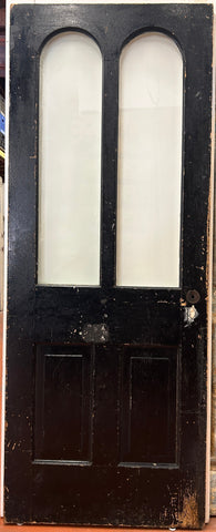2-Light/ 2-Panel Arched-Glass Back Door (BD-293)