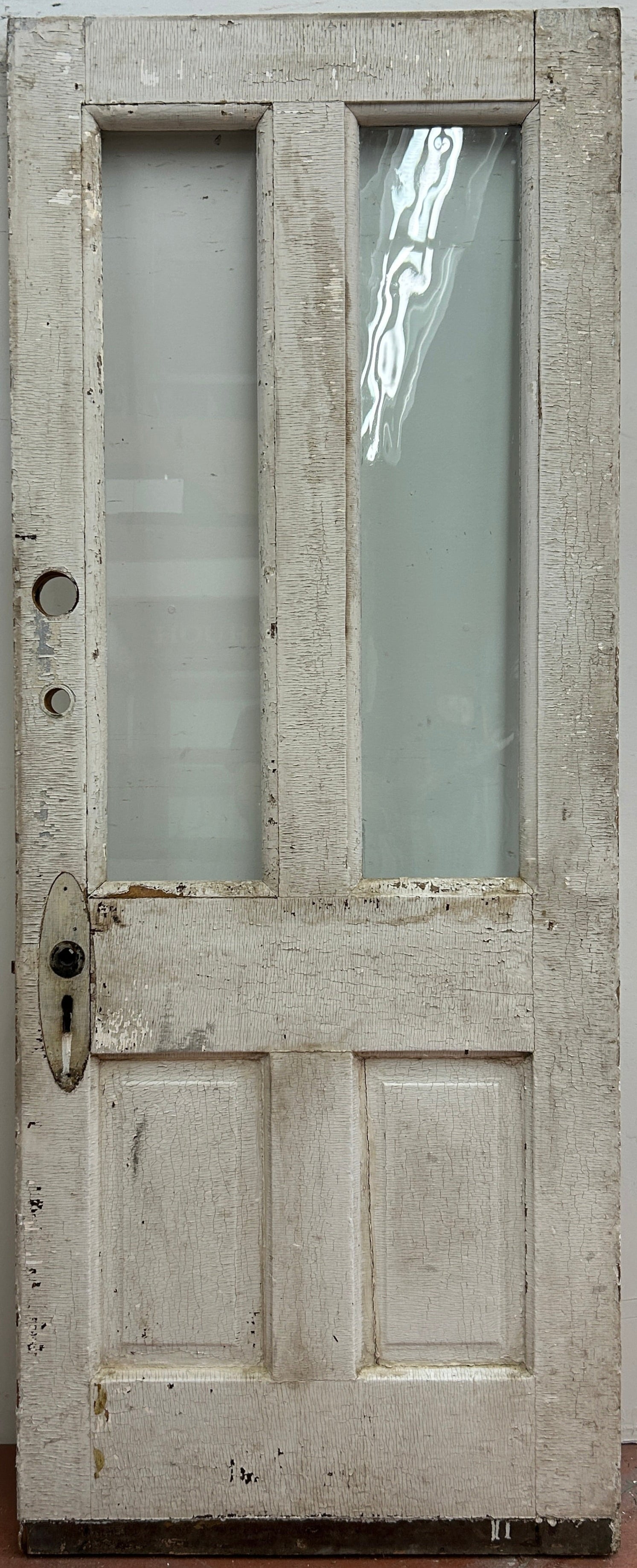 2-Light/ 2-Panel Back Door (BD-404)