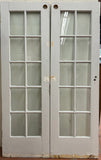 10-Light French Door Pair (FDP-253)