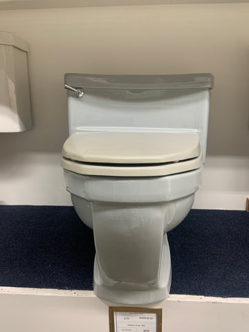 STD One Piece Toilet - Platinum Gray