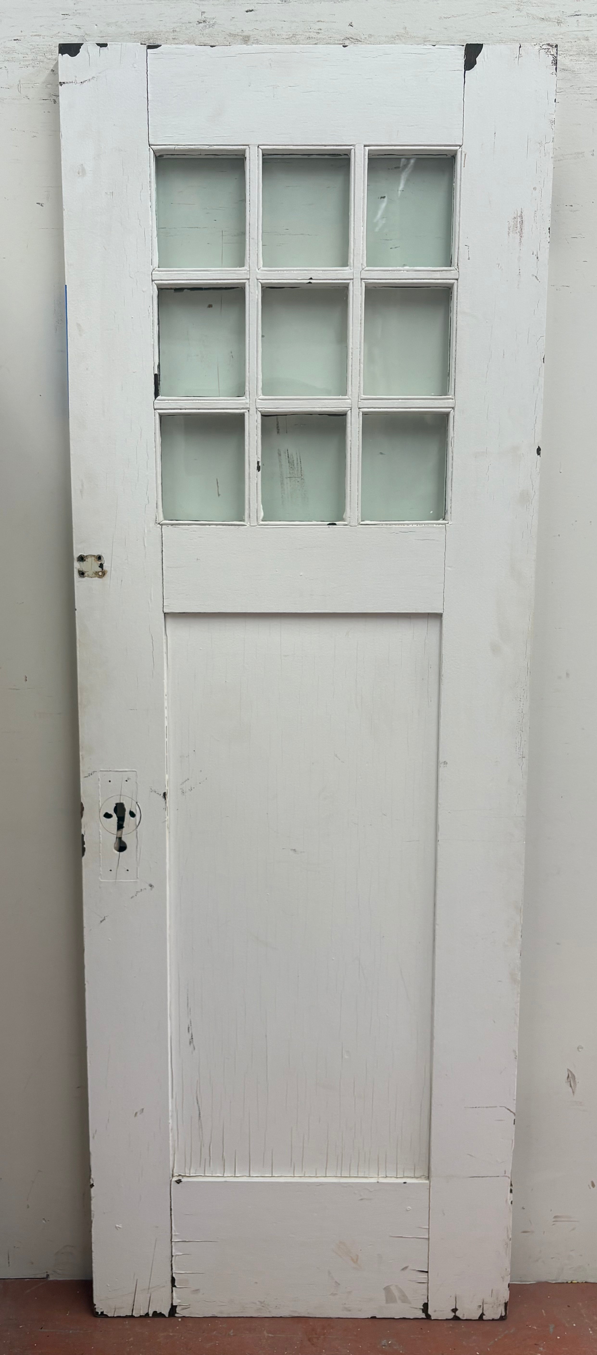 9-Light/ 1-Panel Back Door (BD-467)