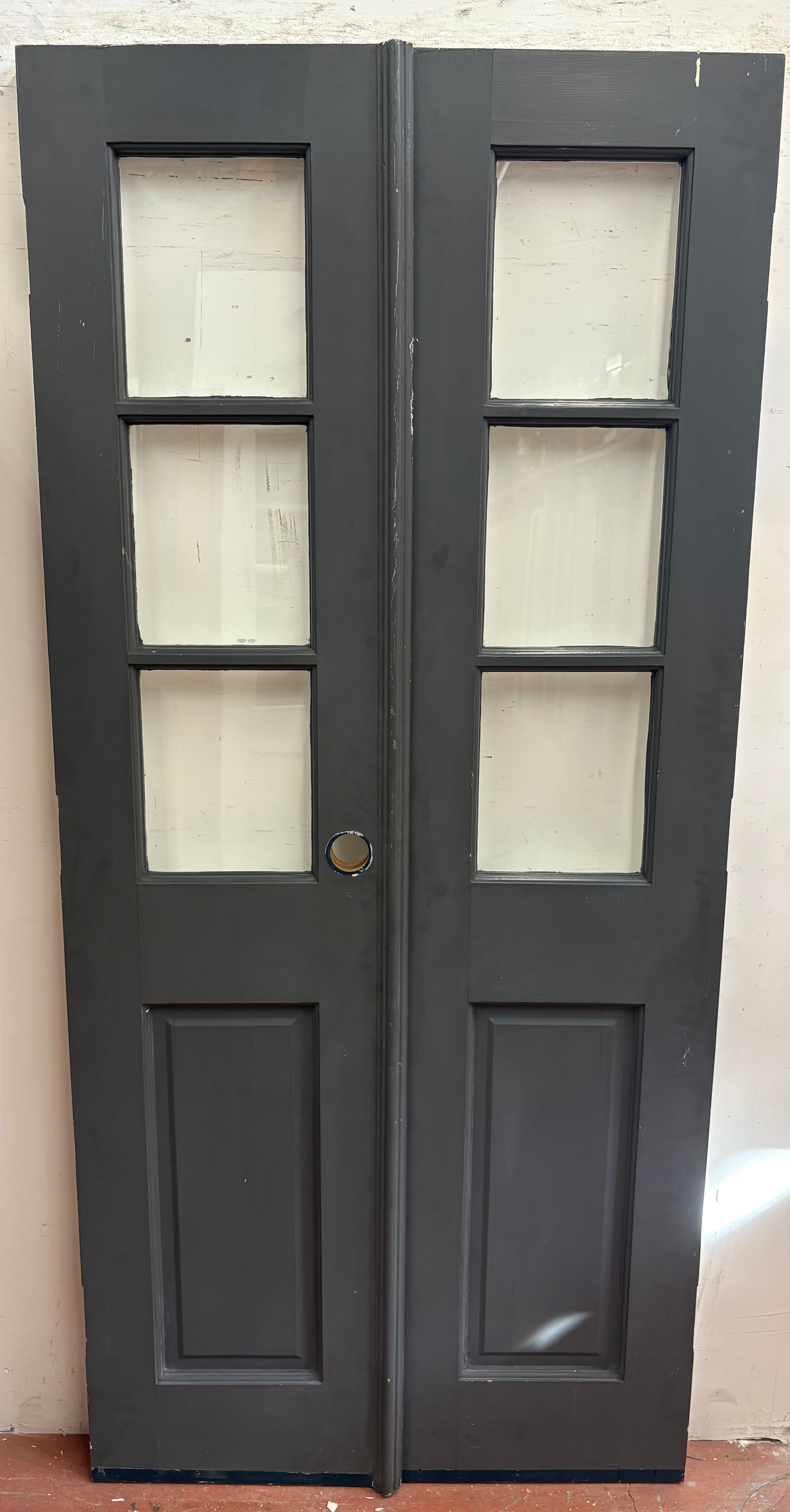 3-Light/ 1-Panel French Door Pair (FDP-351)