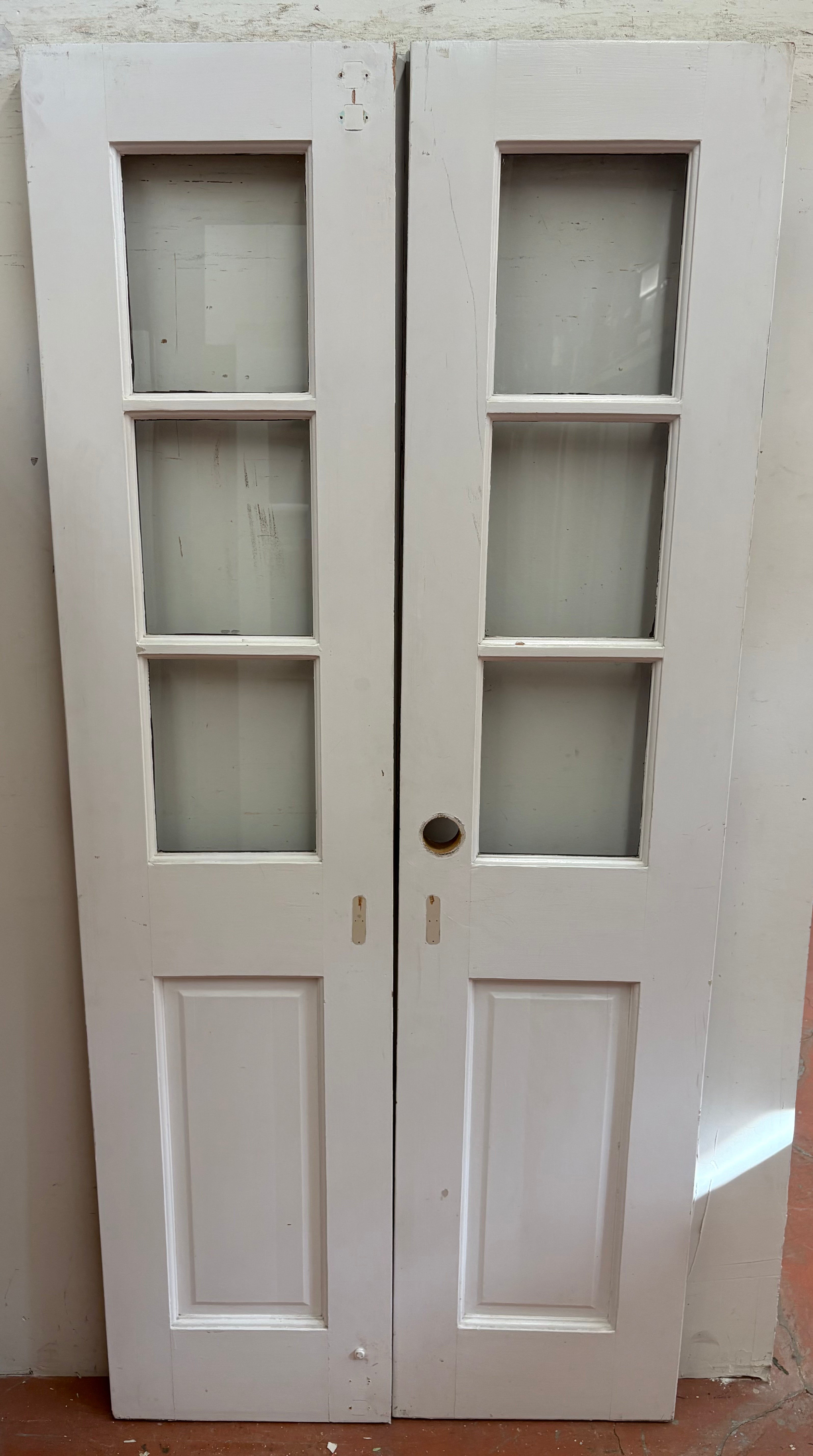 3-Light/ 1-Panel French Door Pair (FDP-351)