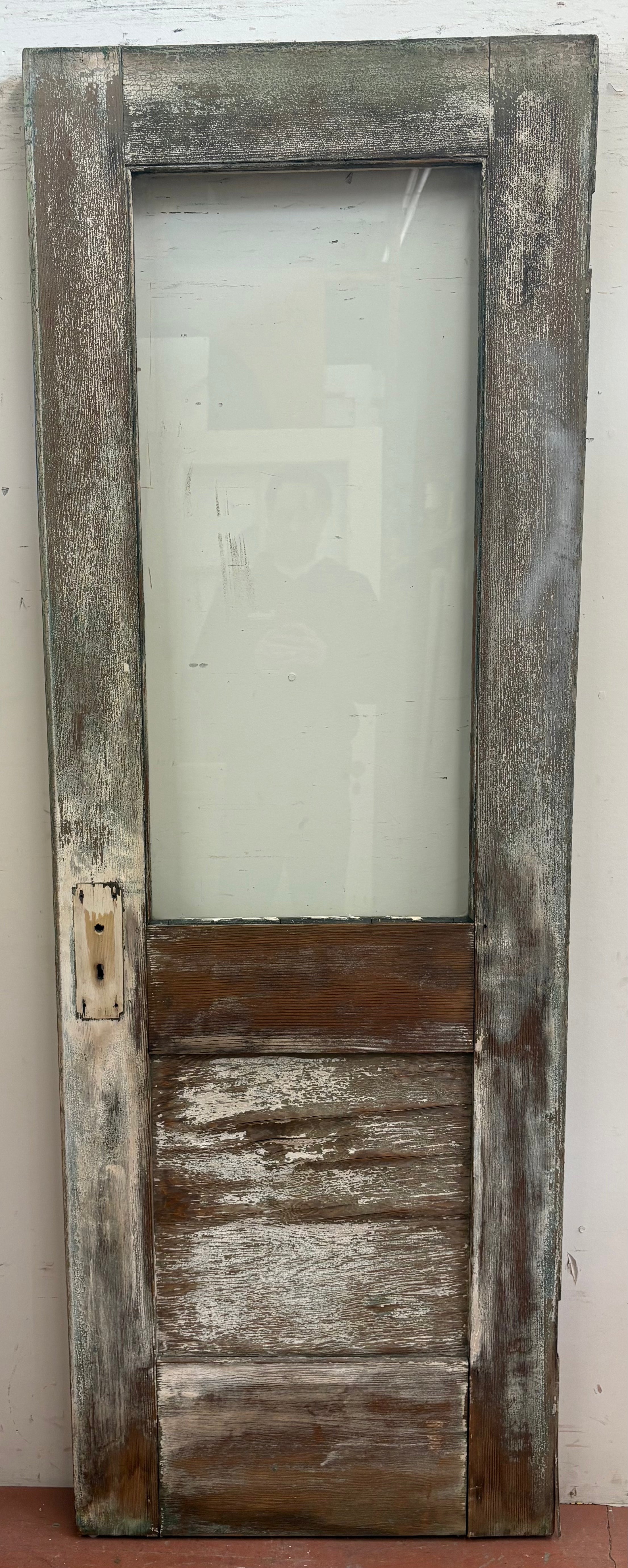 1L 1FP Back Door (BD-485)