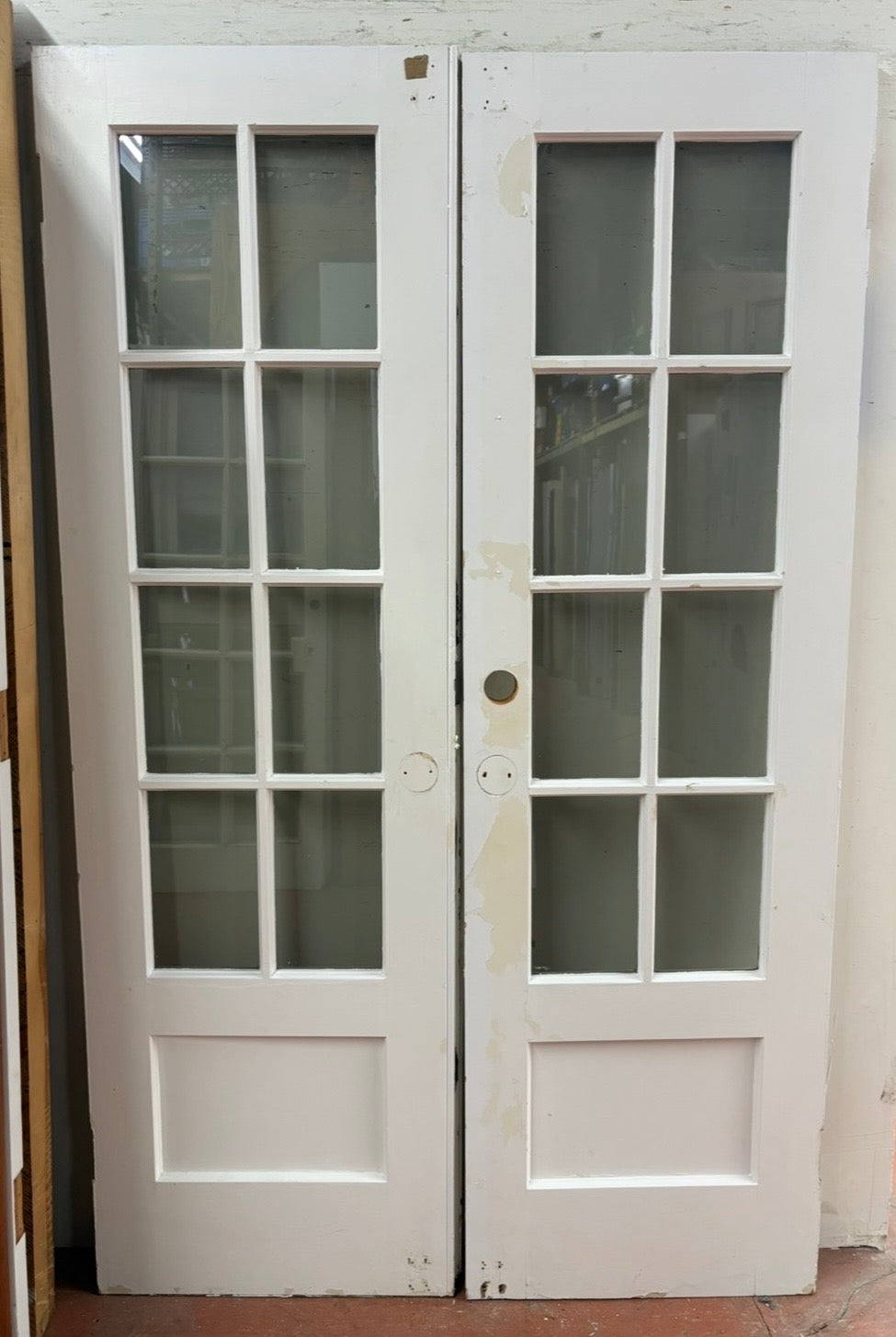 8-Light/ 1-Panel French Door Pair (FDP-362)