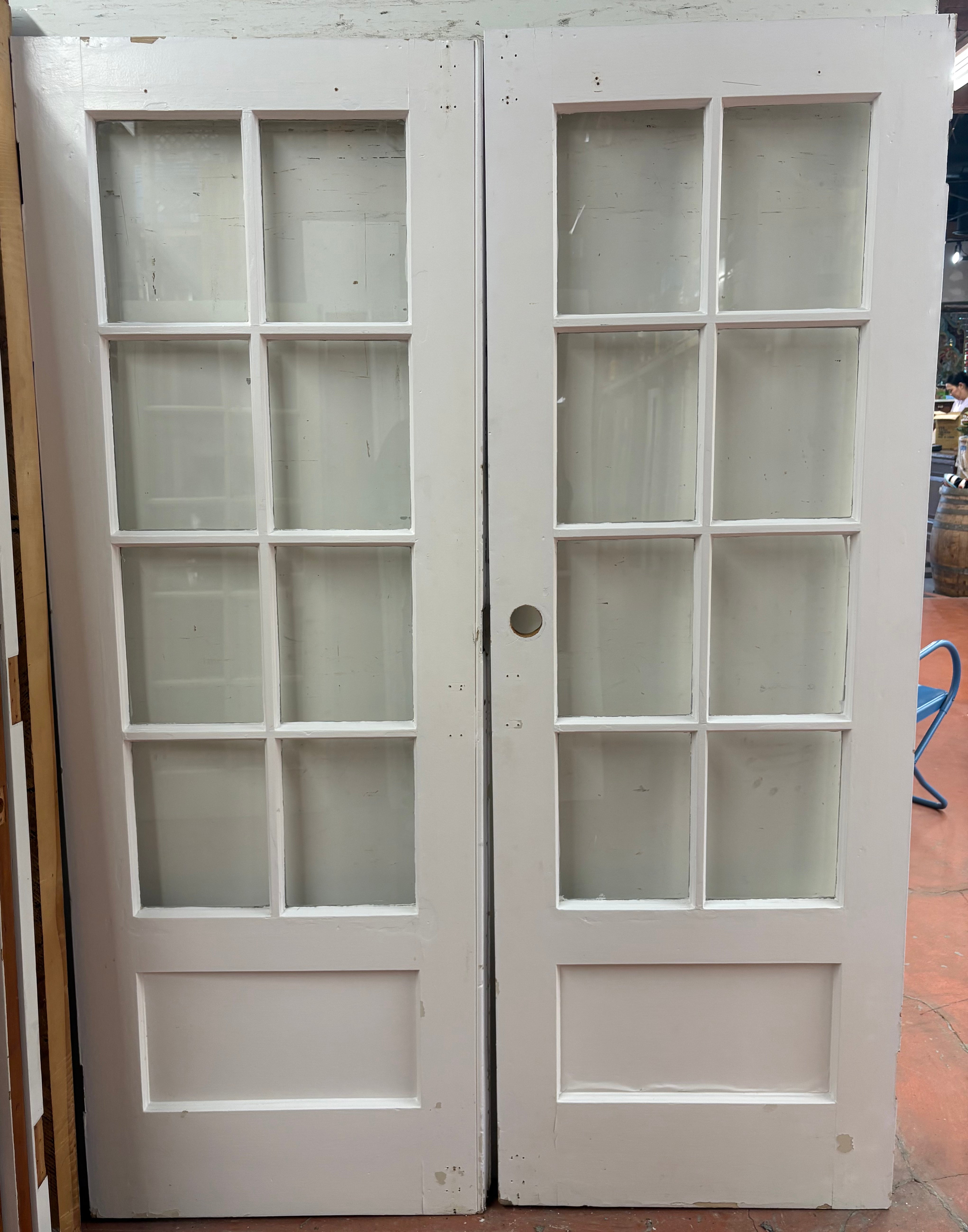 8-Light/ 1-Panel French Door Pair (FDP-363)