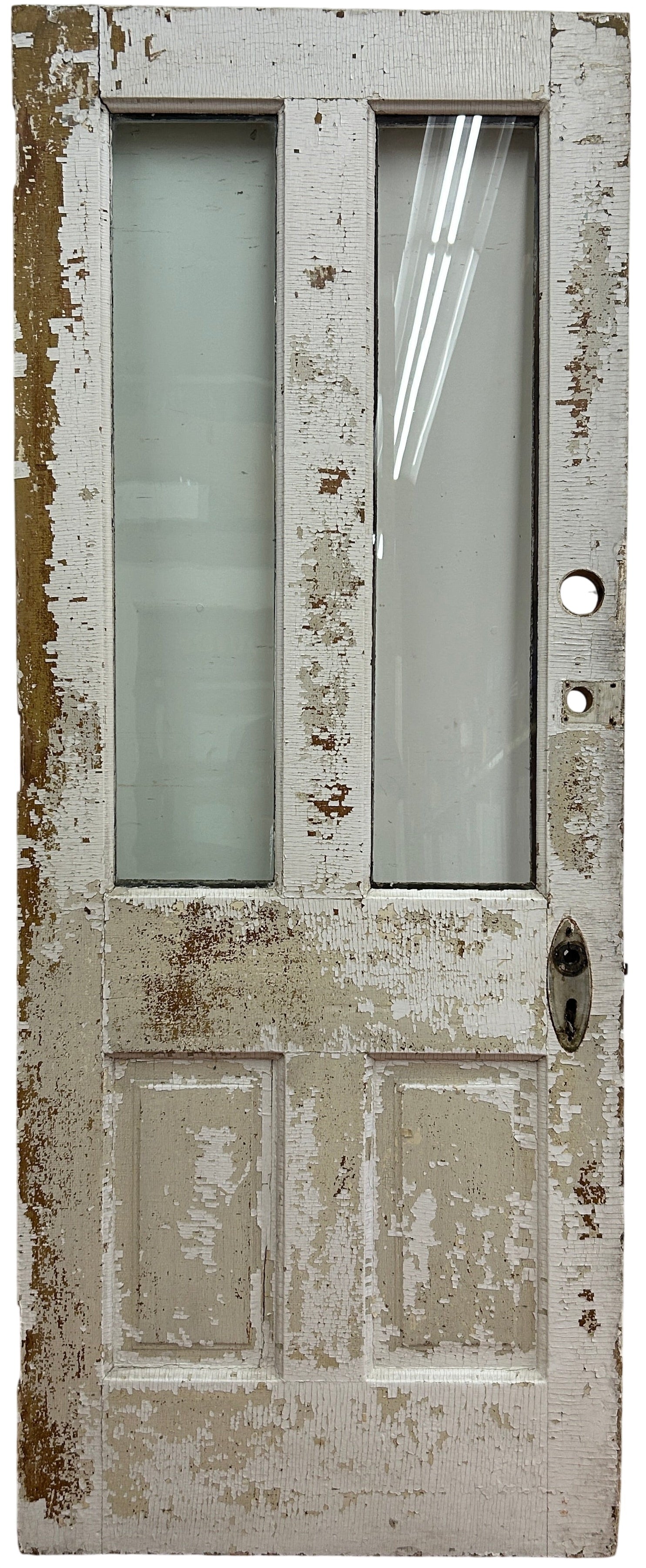 2-Light/ 2-Panel Back Door (BD-404)