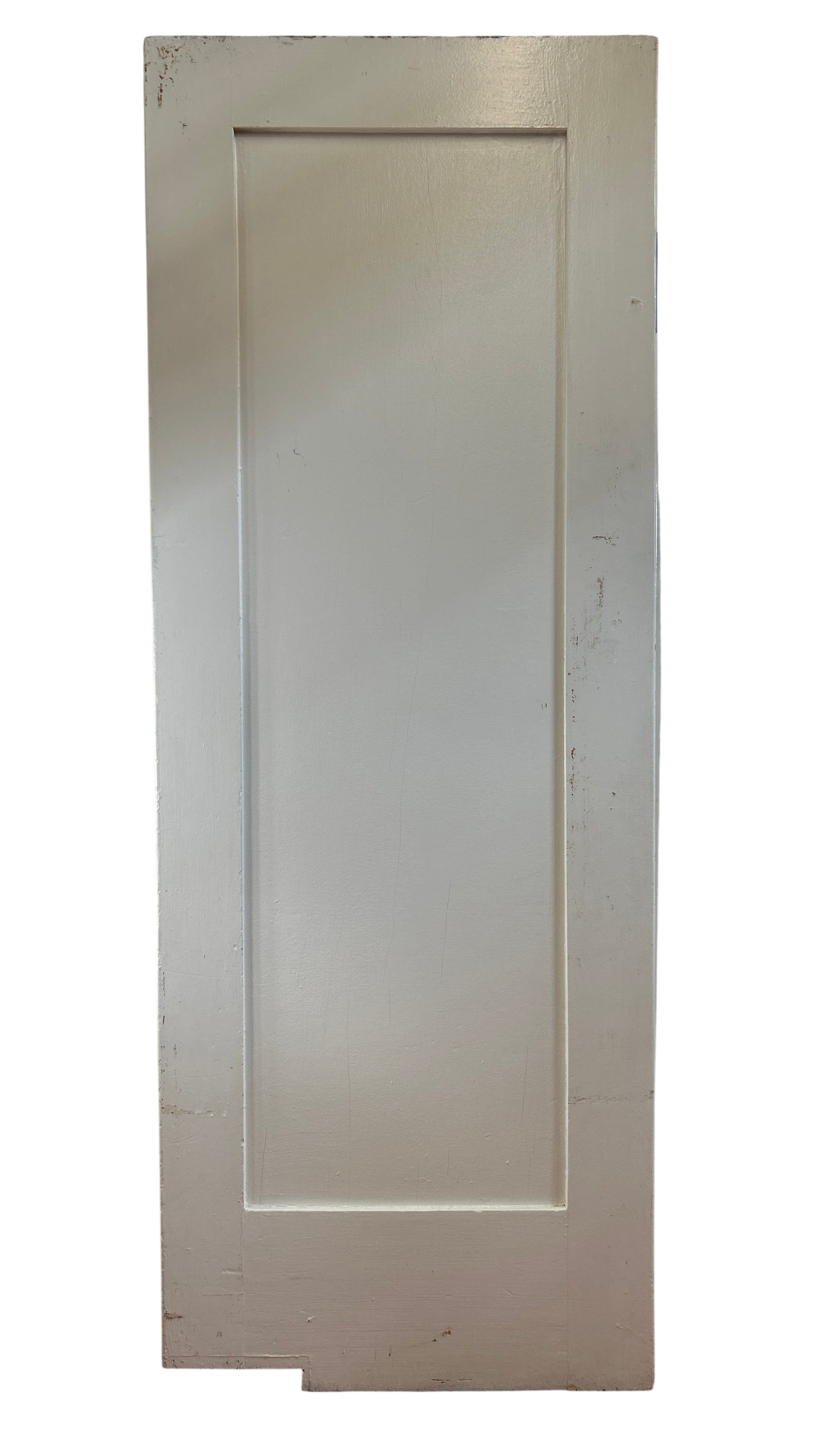 One Flat Panel Swing door (SW-66)