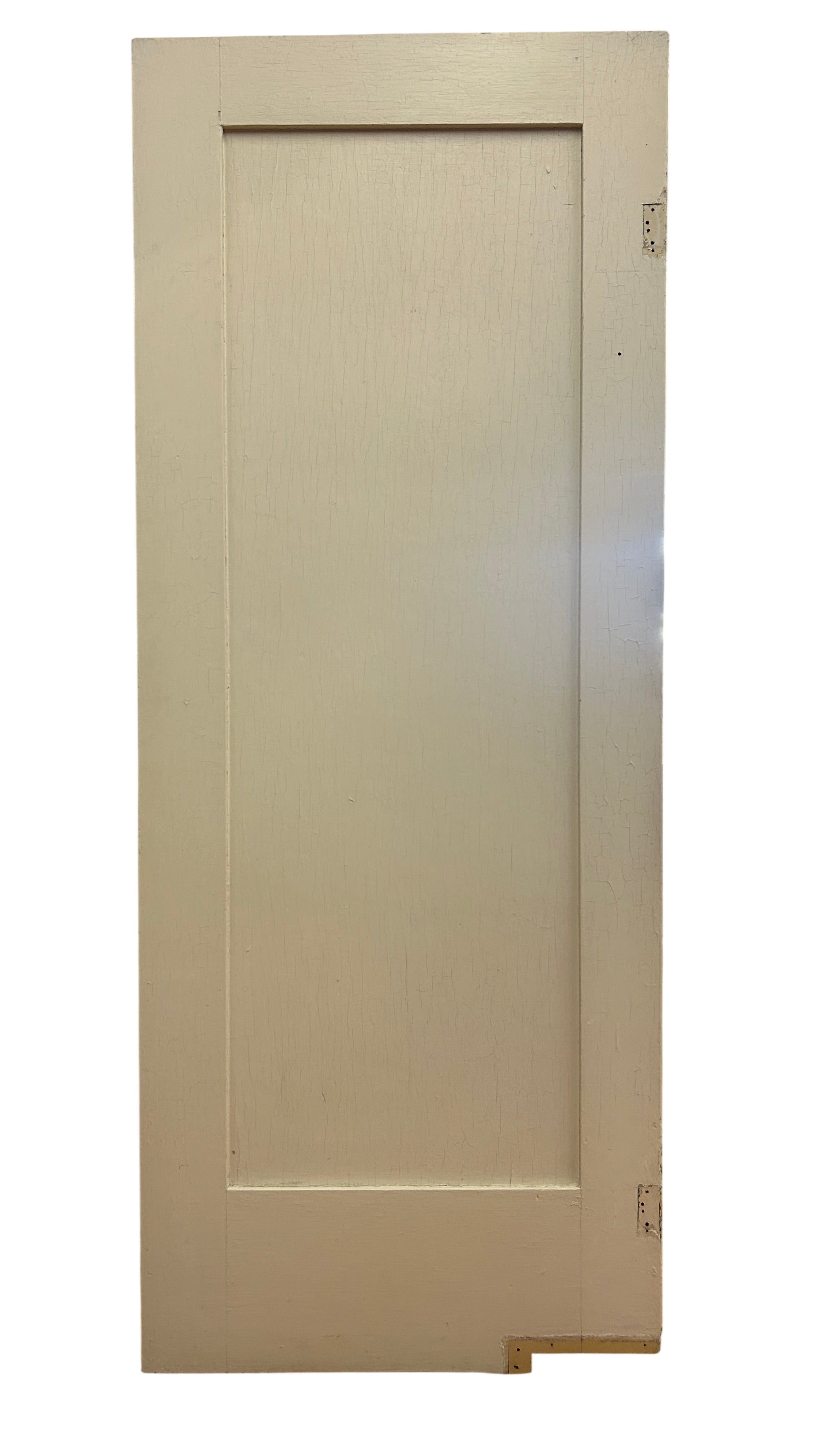 1-Panel Swing Door (SW-80)