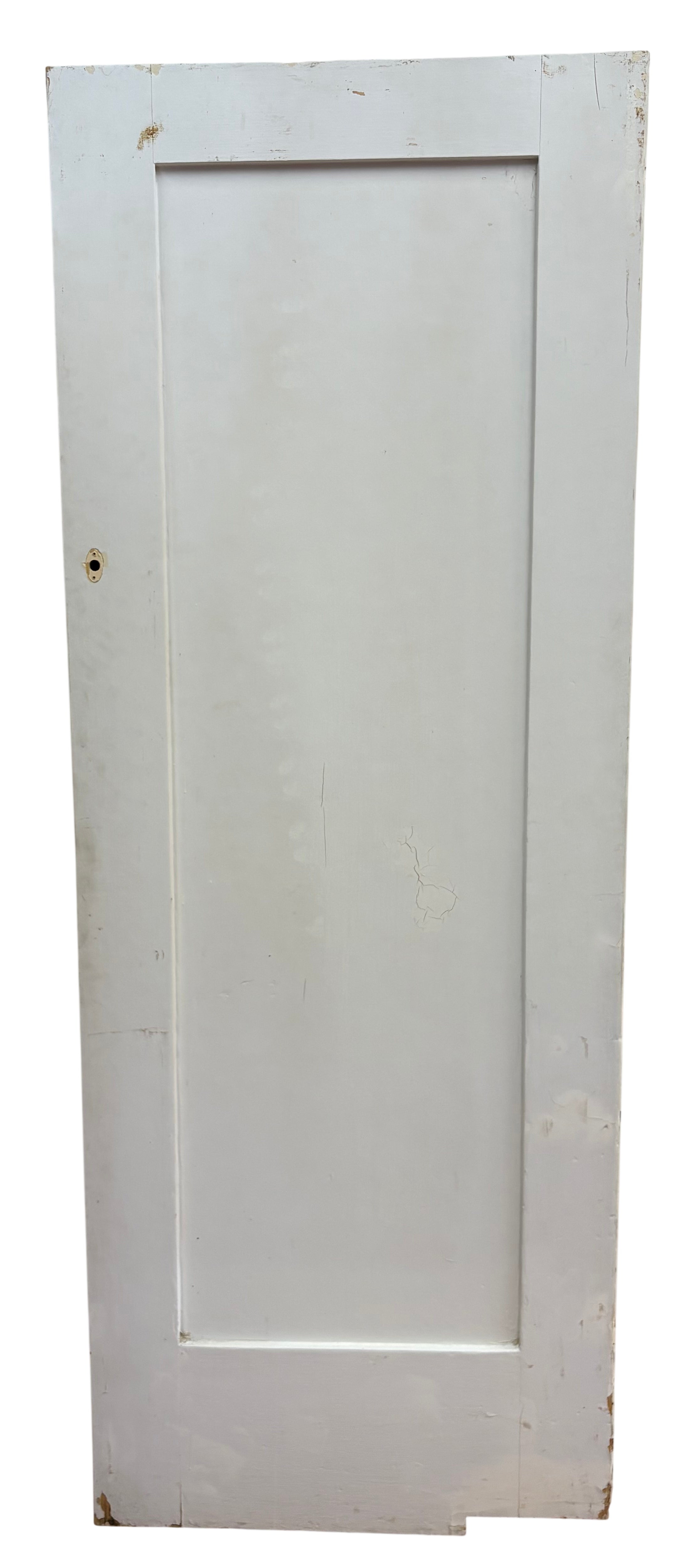 1-Panel Swing Door (SW-94)