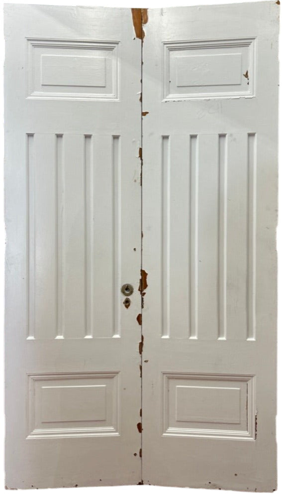 6-Panel Door Pair (FDP-191)