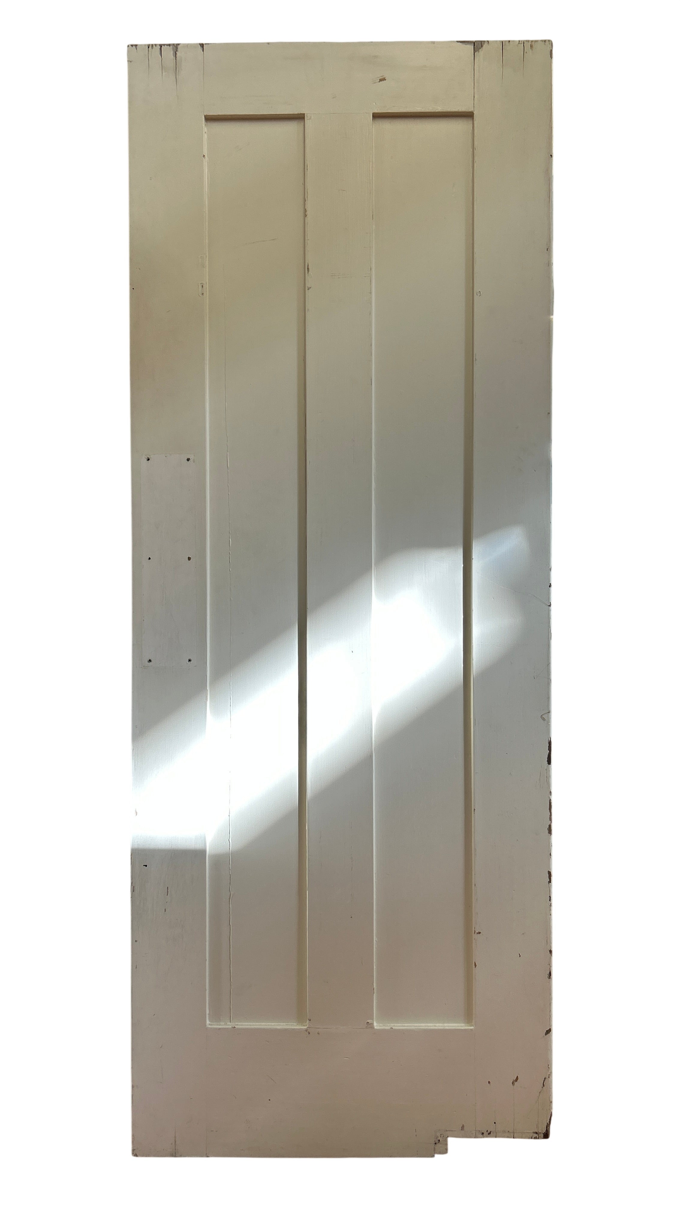 Swing Door With Two Vertical Flat Panels (SW-73)