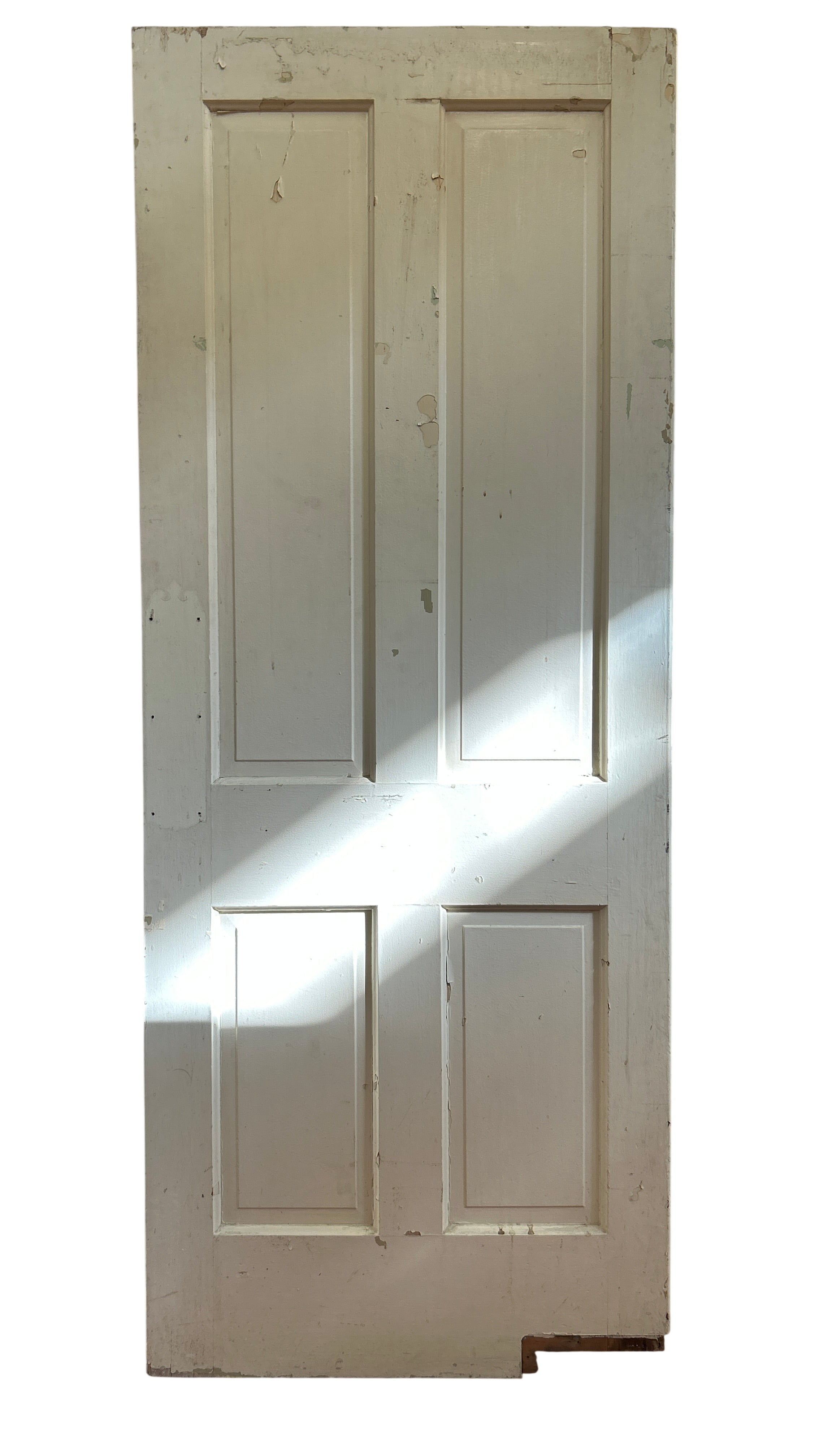 Swing Door With Four Raised Panels (SW-74)