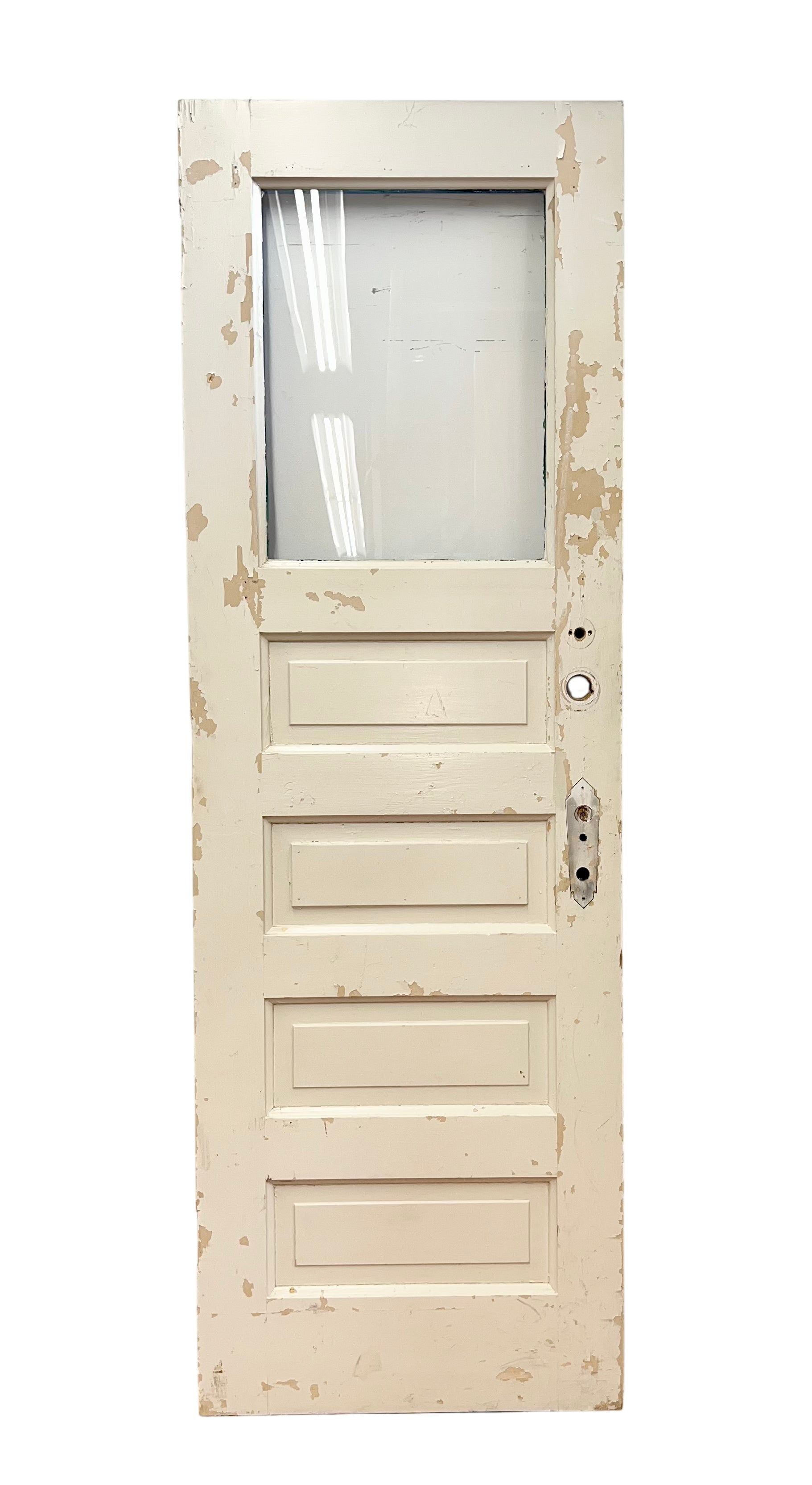 1-Light/ 4 Raised Panel Door (BD-219)