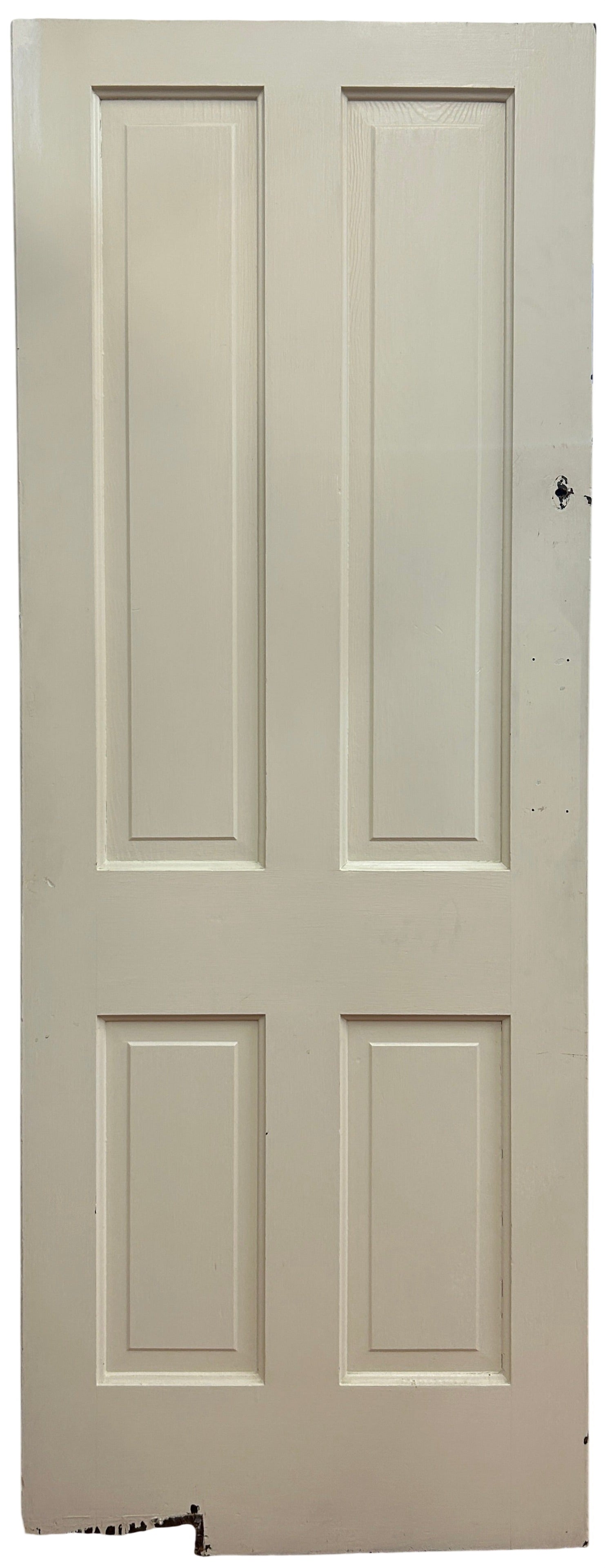 Swing Door With Four Raised Panels (SW-62)