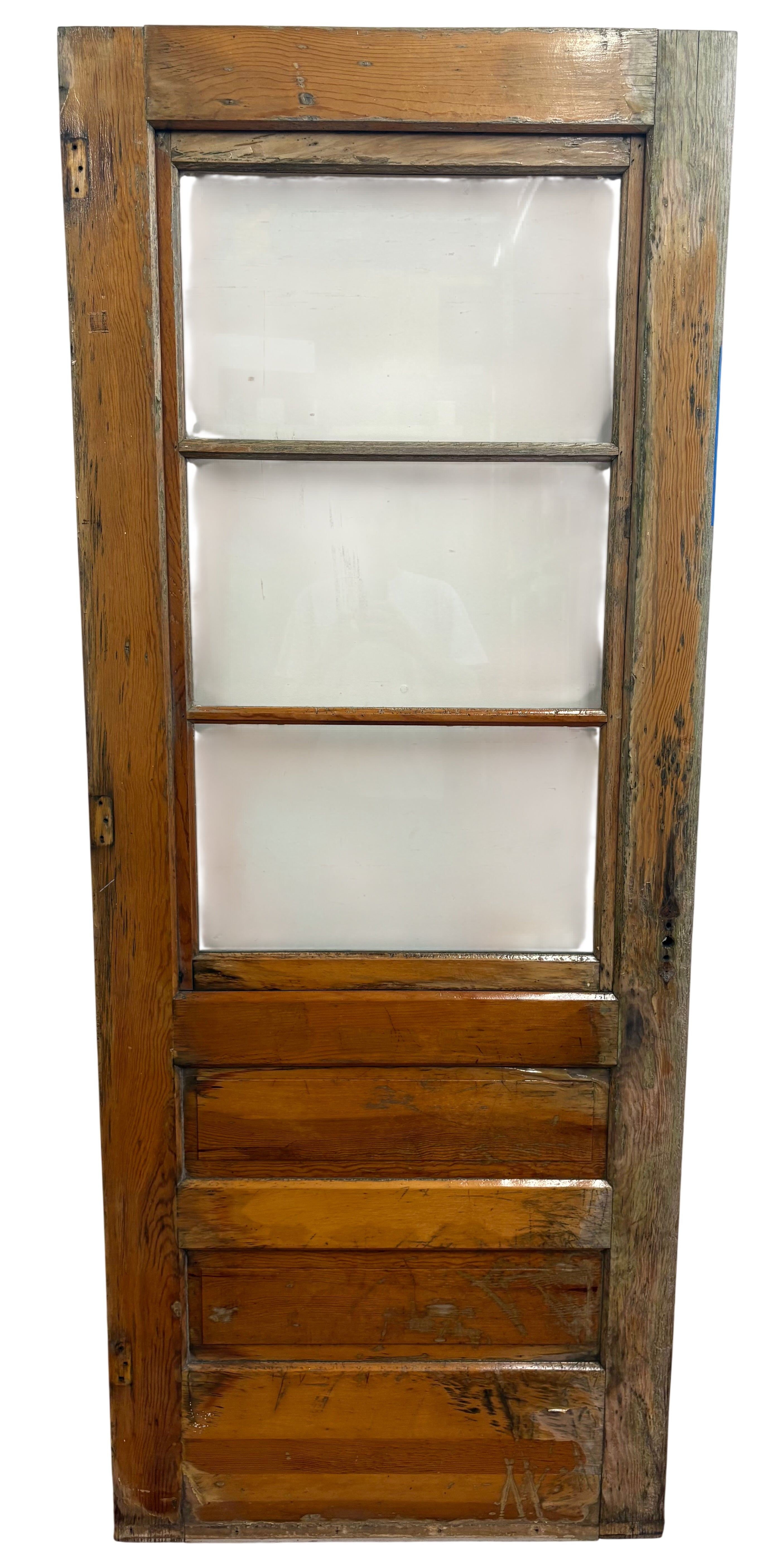 3-Light / 2-Panel Storm Door / Back Door (BD-461)