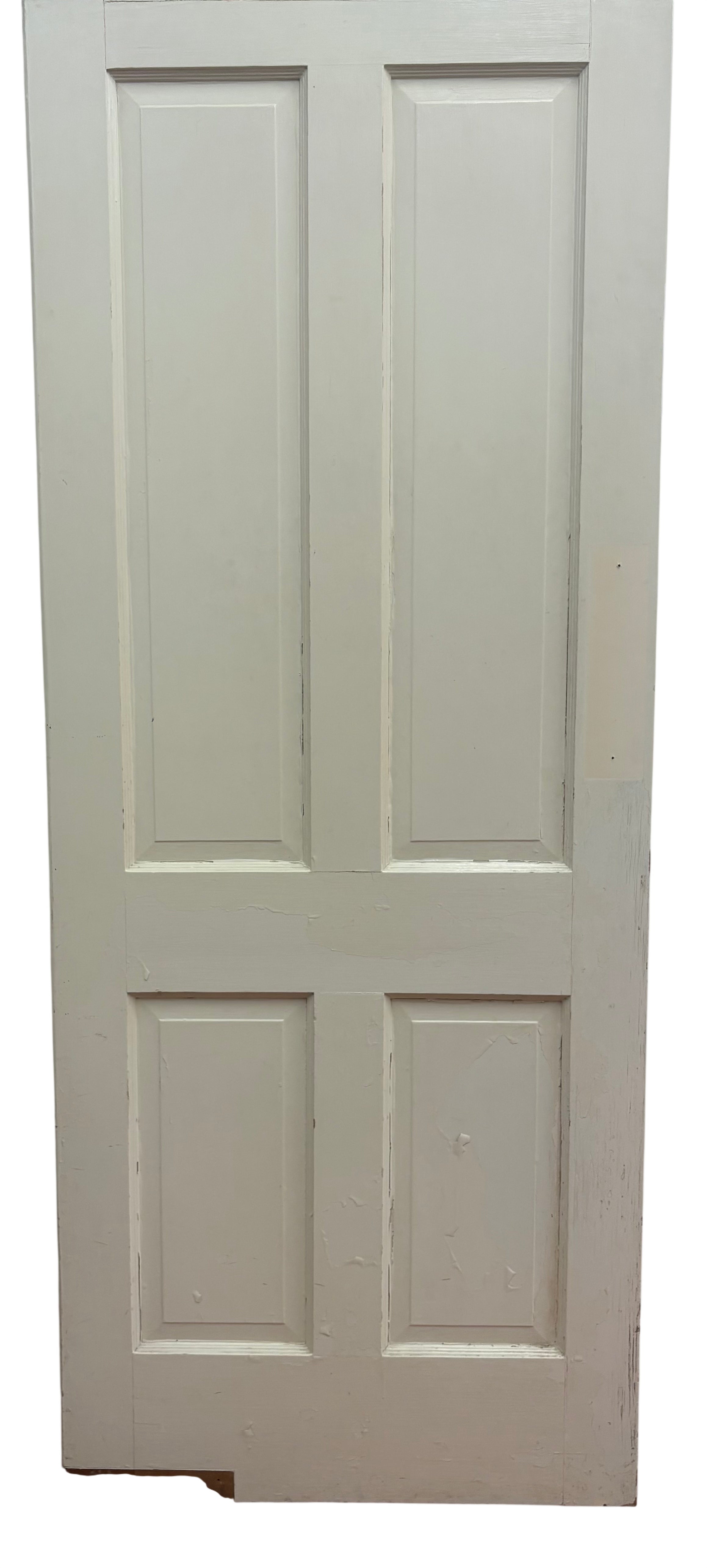 Swing Door With Four Raised Panels (SW-58)