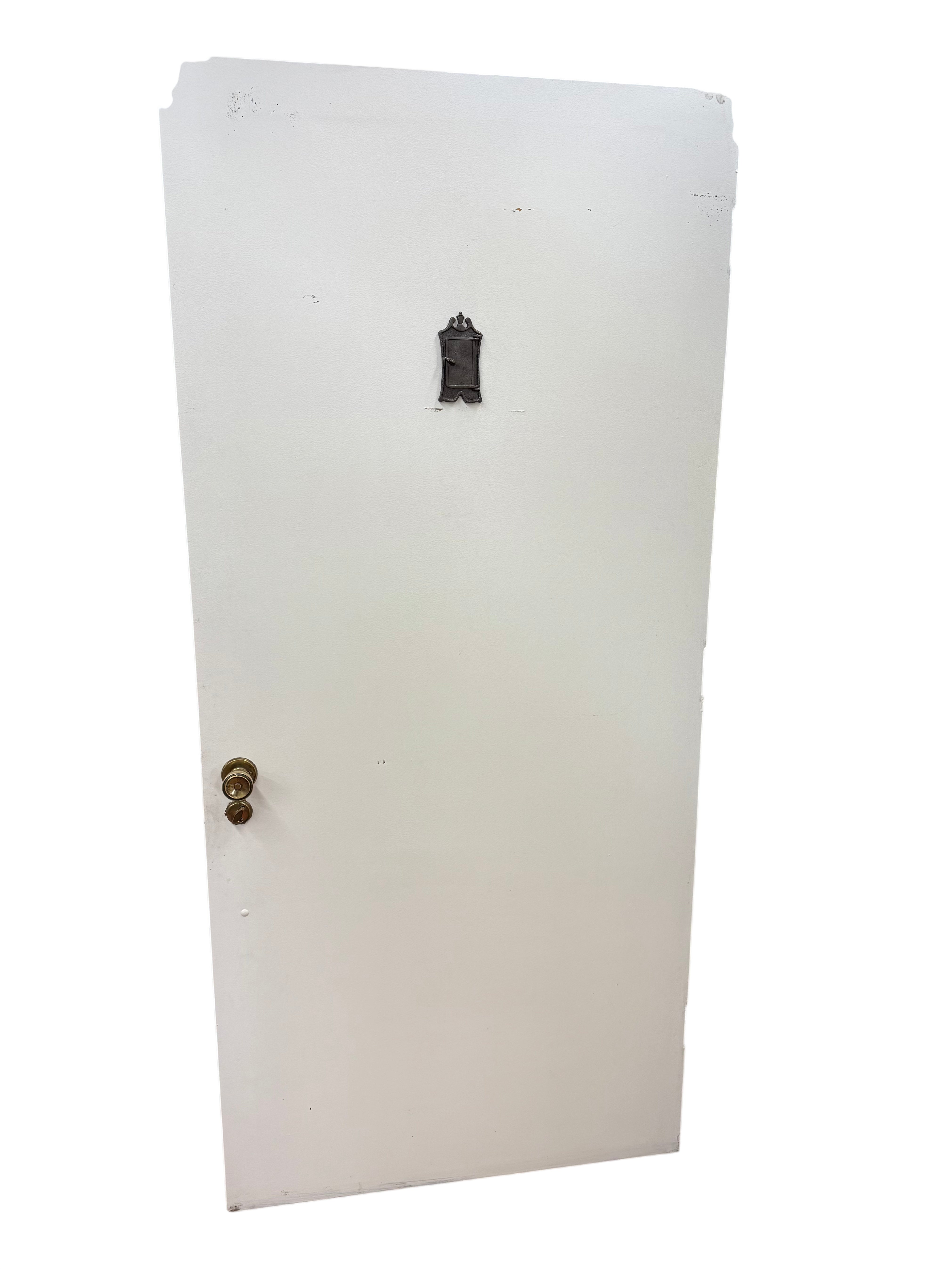 Hollow Core Entry Door (ED-371)