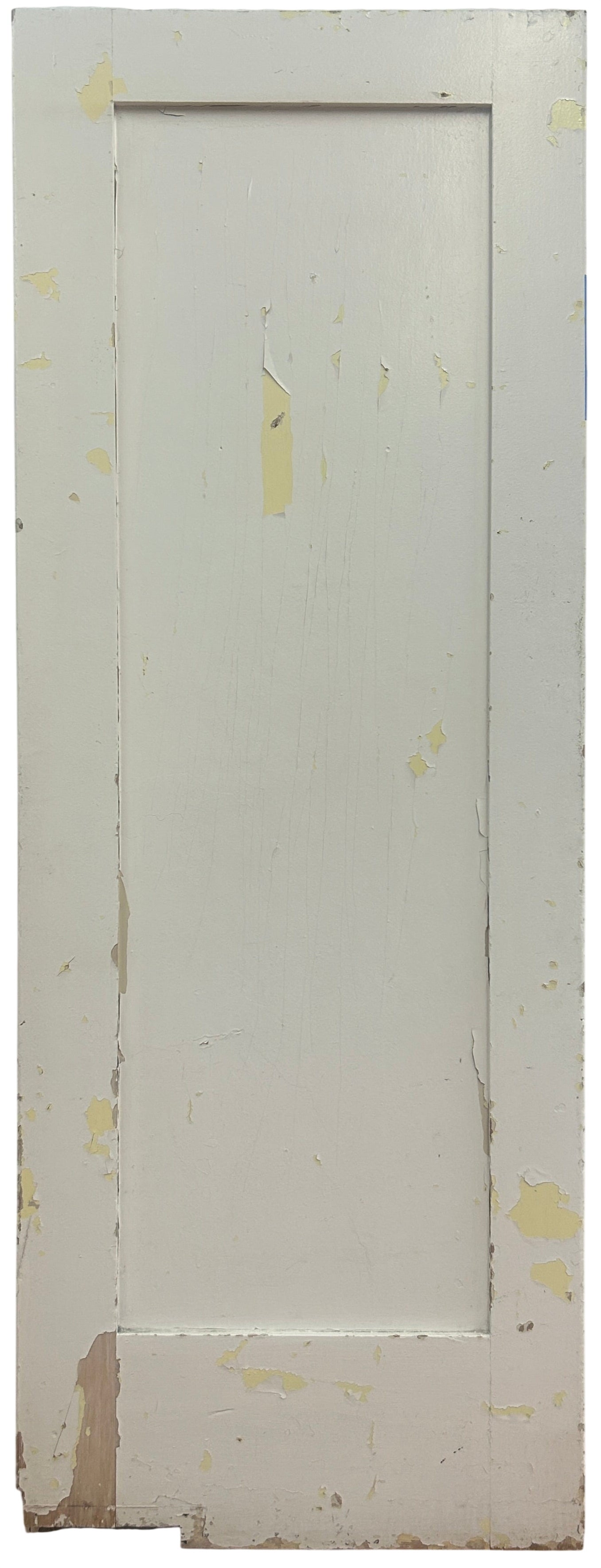 1-Panel Swing Door (SW-82)