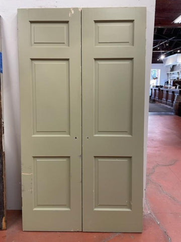 Pair of 3-panel doors (XD-71)