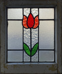 Tulip Stained Glass (SG-106)