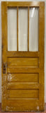 3-Light/ 3-Panel Back Door (BD-193)
